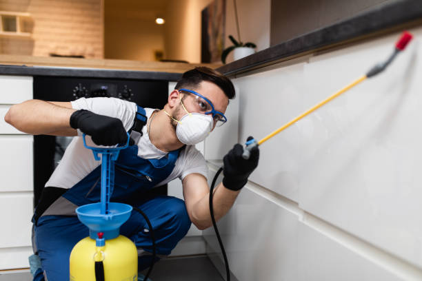 Wasp Removal Services in Falmouth Foreside, ME