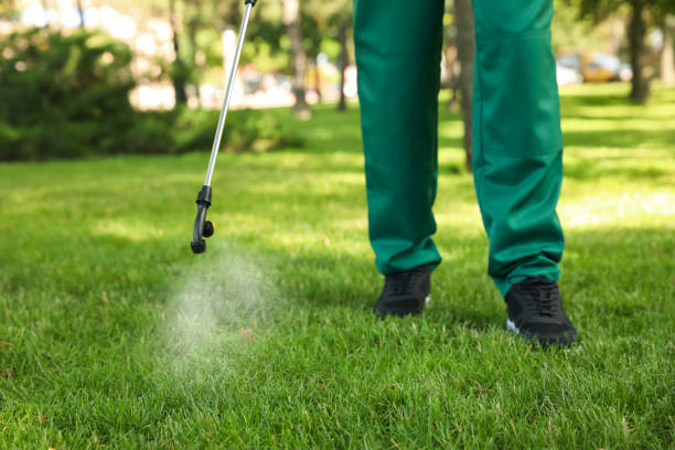 Best Wasp Removal Services  in Falmouth Foreside, ME
