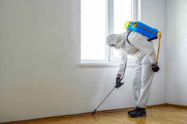 Best Bed Bug Extermination  in Falmouth Foreside, ME
