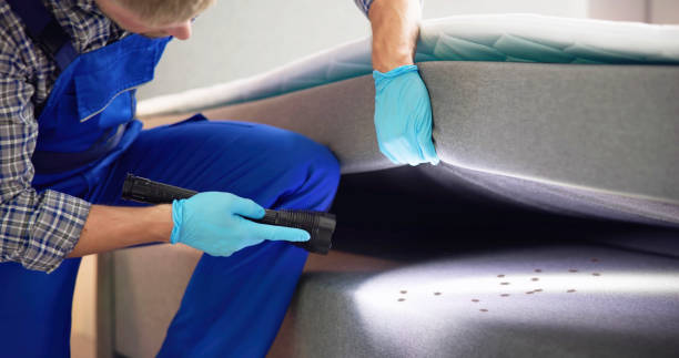 Best Flea Control Services  in Falmouth Foreside, ME
