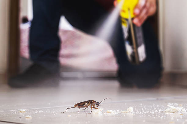  Falmouth Foreside, ME Pest Control Pros