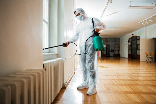 Best Rat Extermination Near Me  in Falmouth Foreside, ME