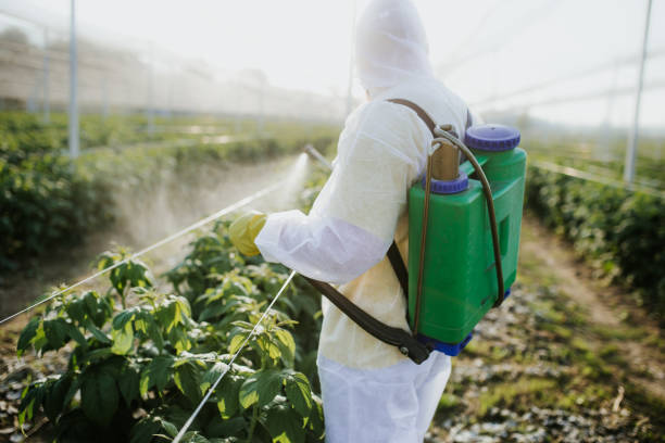 Best Pest Prevention Services  in Falmouth Foreside, ME